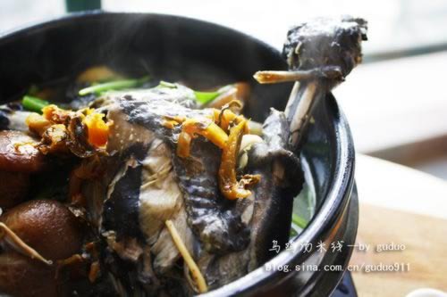 �ѹ��ڹǼ������ߵ�����