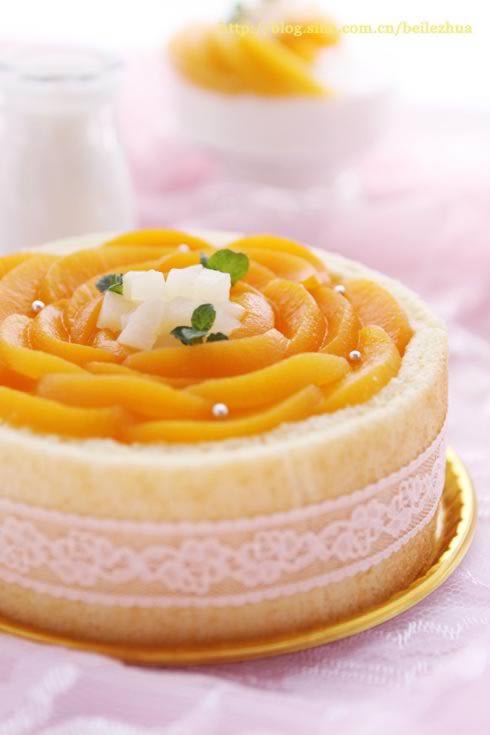 ����Ľ˹���������