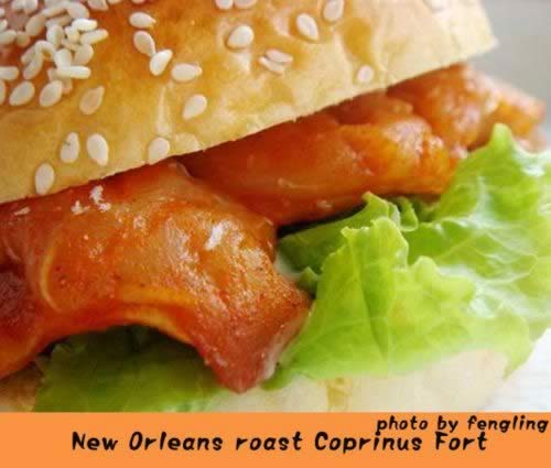 �°¶��������ȱ�������