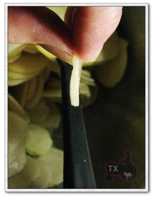 ����Ƭ�������������