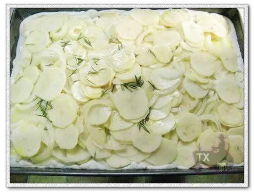 ����Ƭ�������������