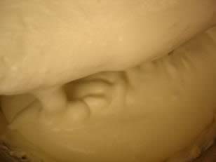 ��ݮ���ҵ��������