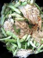 ��ζ���������