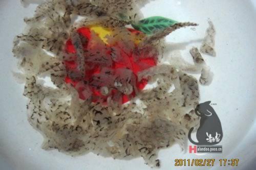 ������Ƥ�����������