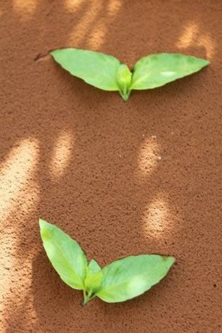 ��������Ӳ�����ʺа������