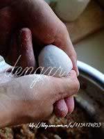 ������ܲ�ˮ�ȵ�����