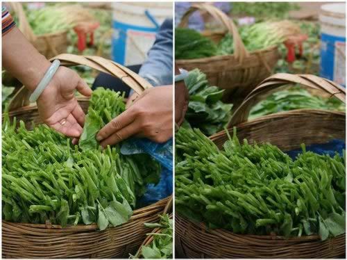 ������⽵�����