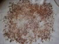 �����ɽ�����ʺ��Ǳ�������