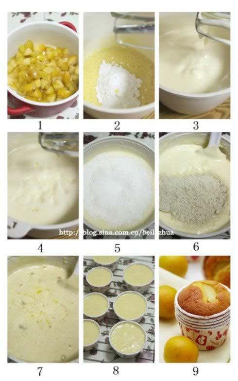 ��������ӵ��������