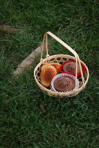 ��������յ�����