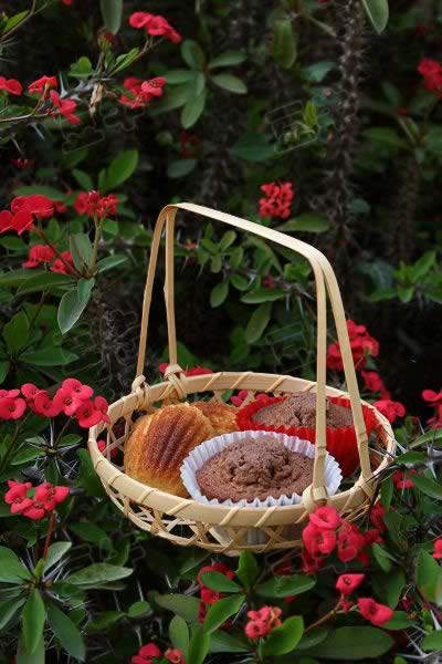 ��������յ�����