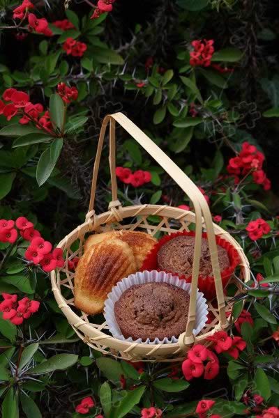 ��������յ�����