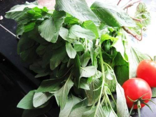 Ұ�������������