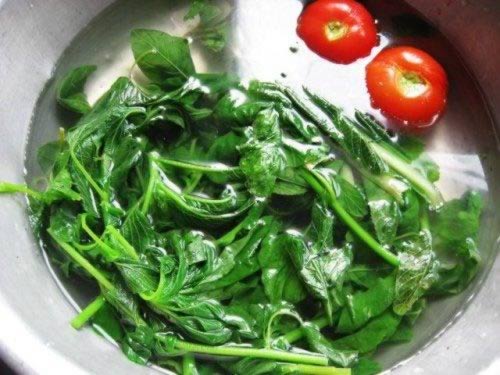 Ұ�������������