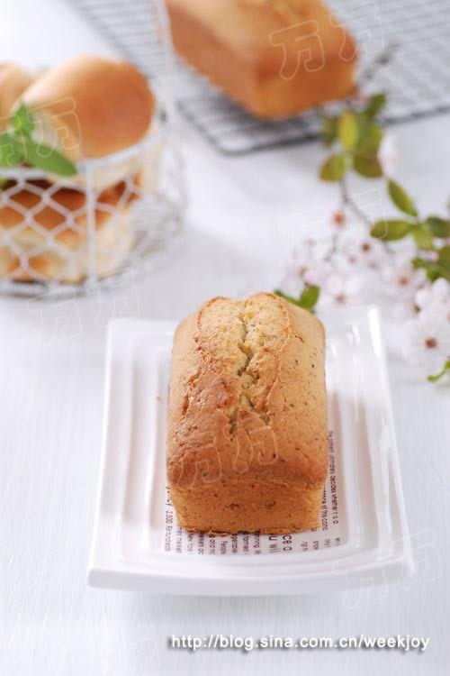 ��β���Ѱ����������