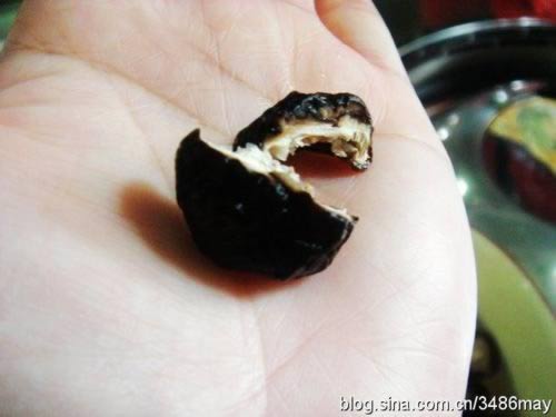 �㹽�����������