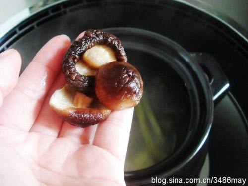 �㹽�����������