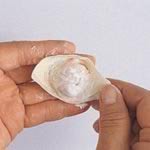 ����۲���⽵�����