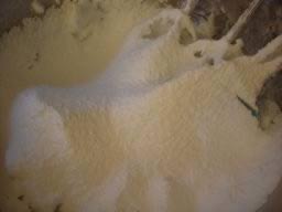 С���ӵ��������