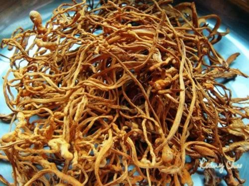 ��ݻ���������ͨ�ķ۵�����