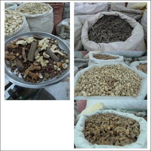 ��������ţ������������