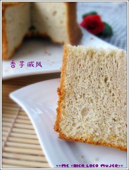 �����ݷ絰�������