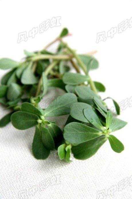 �����Ƚ��ӵ�����