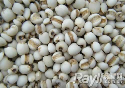 ʳ������:����޲��ʳ��������ȥ��