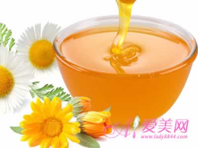 ʳ������:�ȼ�9��ʳ���������� �������μ���