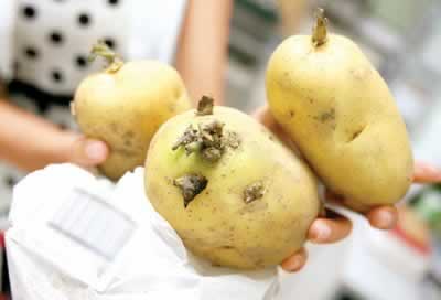 ��ʳ���ң�7���߲��������ж�����ͼ��