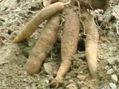 ��ʳ���ң�7���߲��������ж�����ͼ��