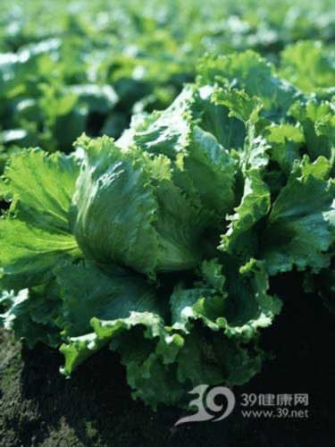 �߲�Ӫ���ɷ�Ϊ�ĸ�ϸ�ȼ���ͼ��