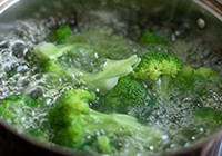 ֭������������������ͼ��