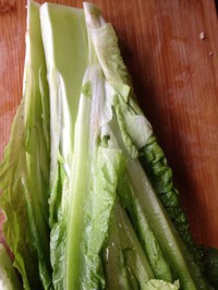 ˮ��ţ�����������ͼ��