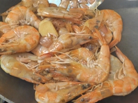 ̨ʽơ��Ϻ����������ͼ��