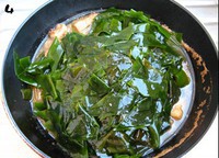 ��Ѫ��Ƣ���������������,��ô��,����������������ó���ϸ����ͼ��