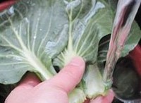 ����˵���������ͼ��