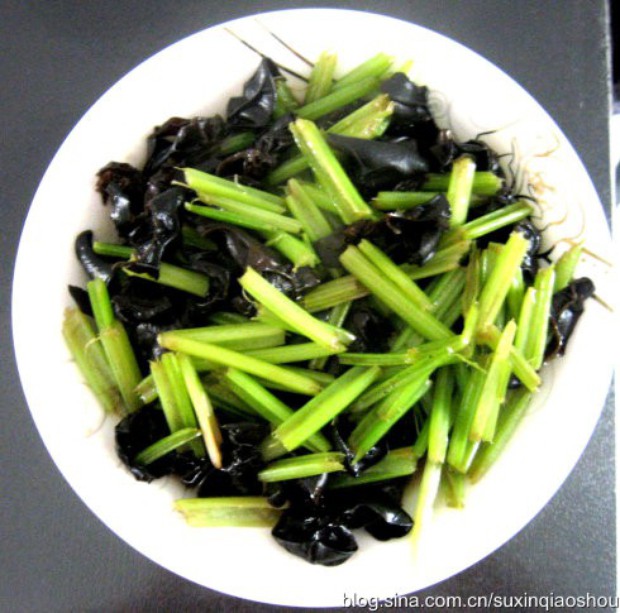 �۲˳�ľ��������