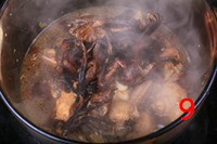 С����Ģ������������ͼ��