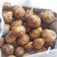 ����С��������������ͼ��