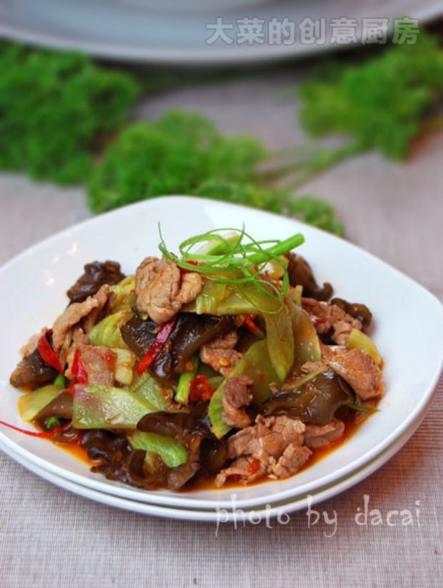 ����������Ƭ������