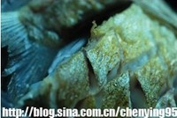 �����������������ͼ��