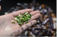 �������ӵ���������ͼ��