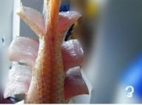 �Ǵ������������ͼ��