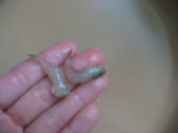 �ཷ����Ϻ����������ͼ��