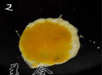 ľ�������������ͼ��