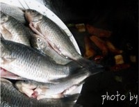 ����ˮ���������������ͼ��