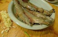 ���˴�Ϻ����������ͼ��