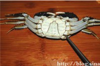 ����з����������ͼ��