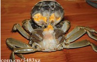 ����з����������ͼ��